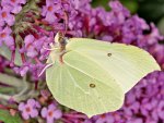 DSC_0825.jpg
