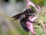 DSC_1381.jpg