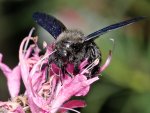 DSC_1447.jpg