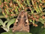 DSC_2987.jpg