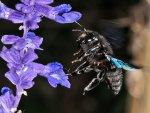 DSC_3110.jpg