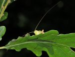 DSC_3134.jpg