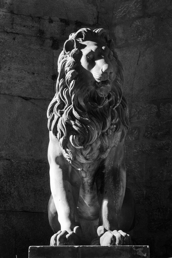 Lion-King.jpg