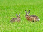 DSC_0085_DxO.jpg