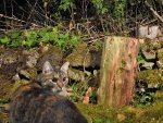 DSC_6240.jpg