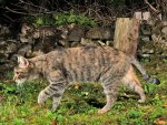 DSC_6288.jpg