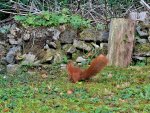DSC_6310.jpg