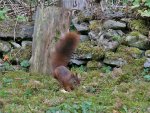 DSC_6540.jpg