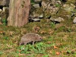 DSC_6576.jpg
