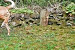 DSC_6615.jpg