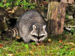 DSC_6679.jpg